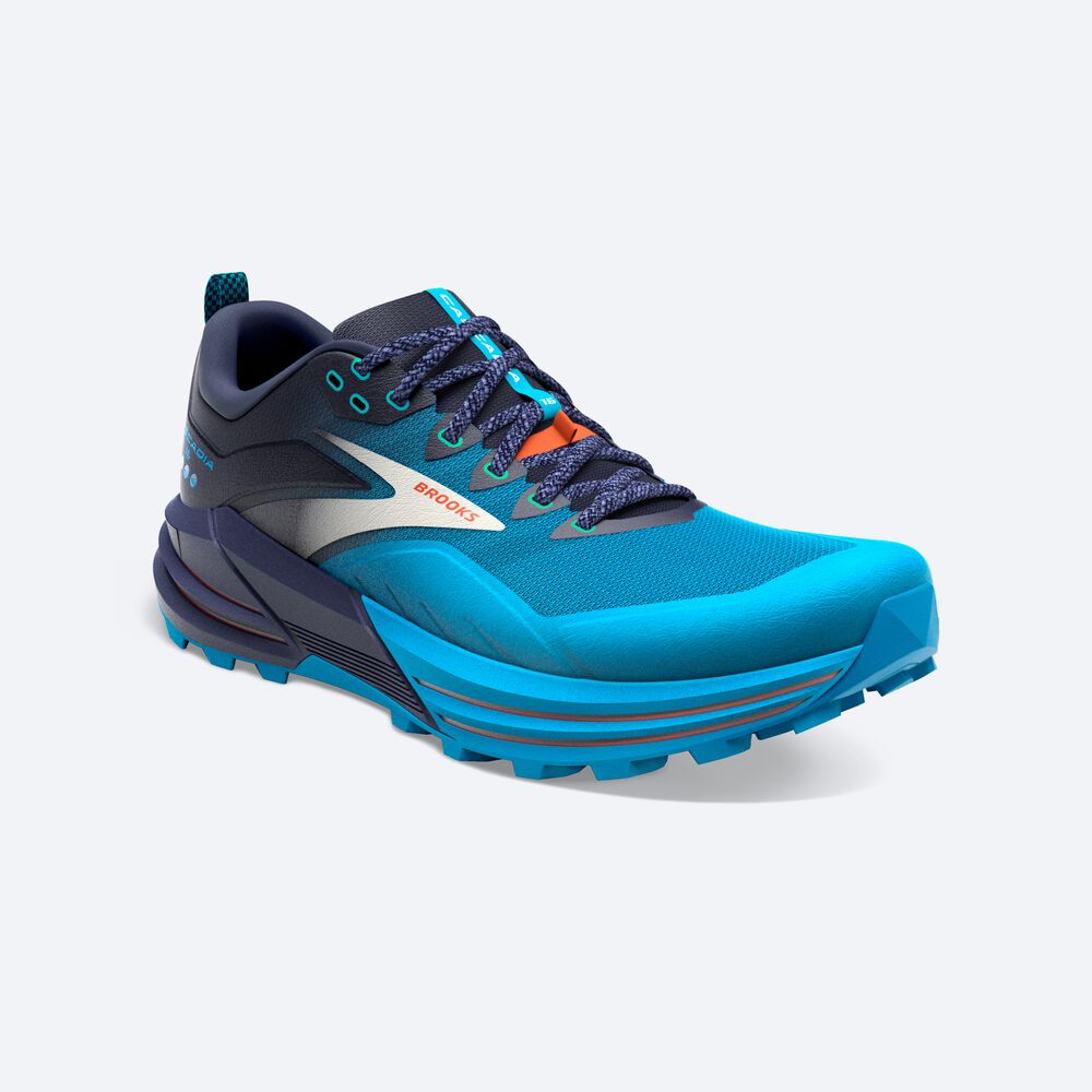 Brooks Cascadia 16 Erkek Trail Koşu Ayakkabısı Lacivert/Mavi | TR-401285