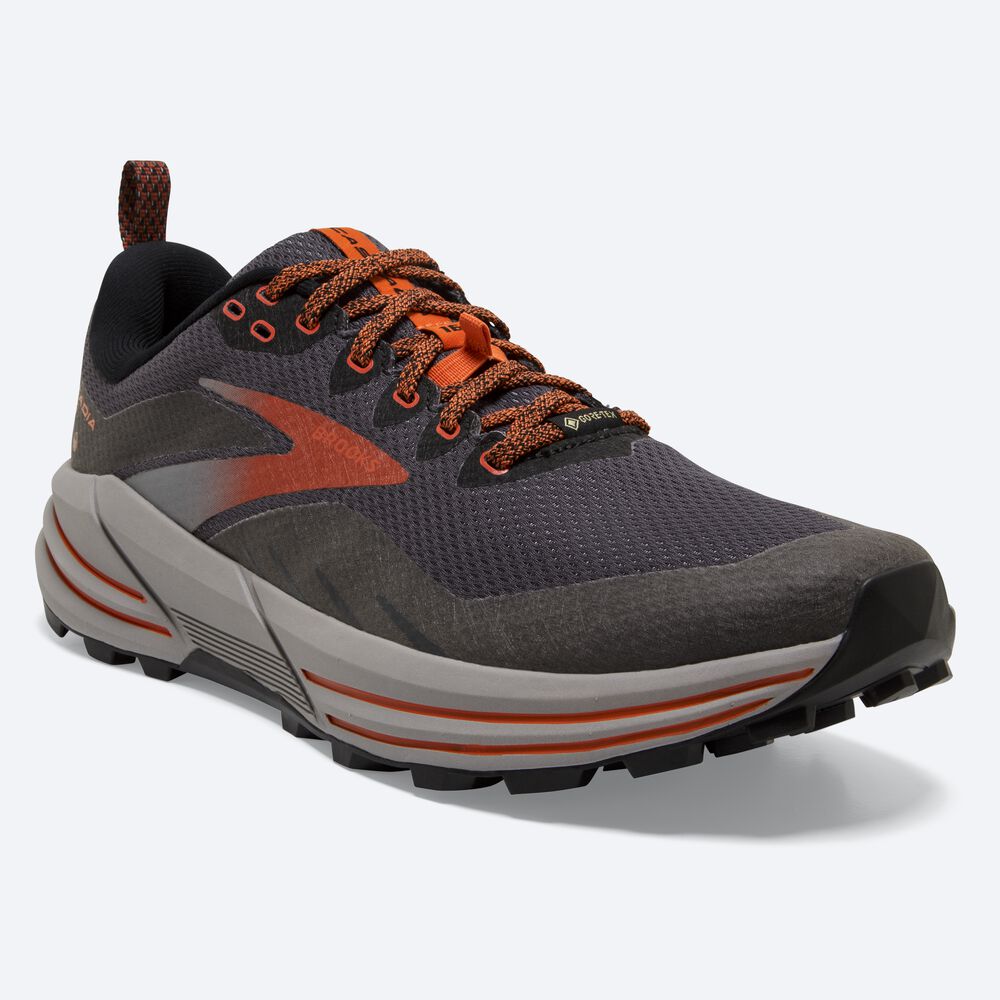 Brooks Cascadia 16 GTX Erkek Trail Koşu Ayakkabısı Siyah | TR-536270