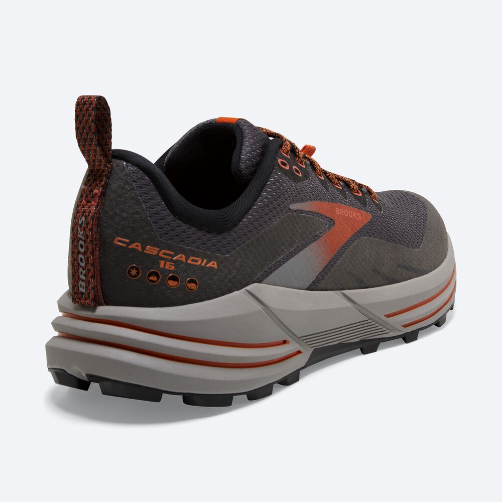 Brooks Cascadia 16 GTX Erkek Trail Koşu Ayakkabısı Siyah | TR-536270