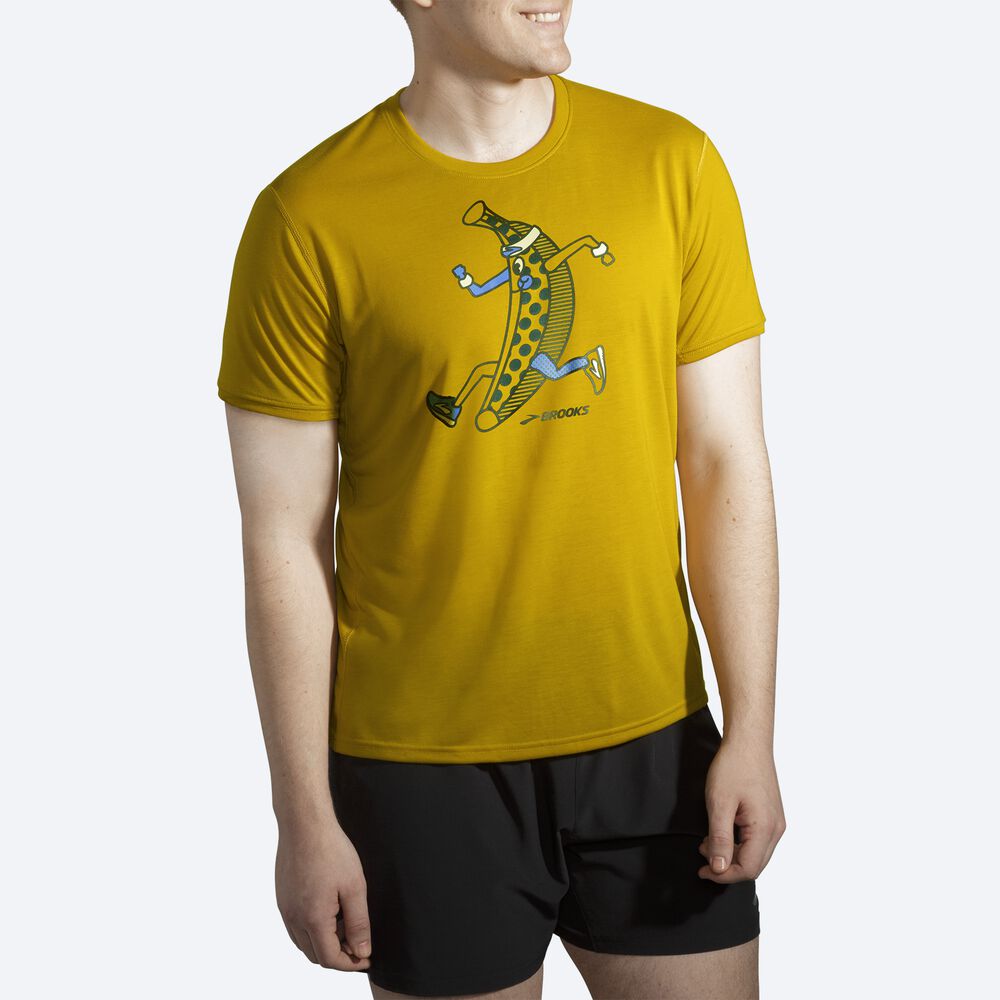 Brooks Distance Baskılı Short Sleeve Erkek Tişört Altın | TR-952478