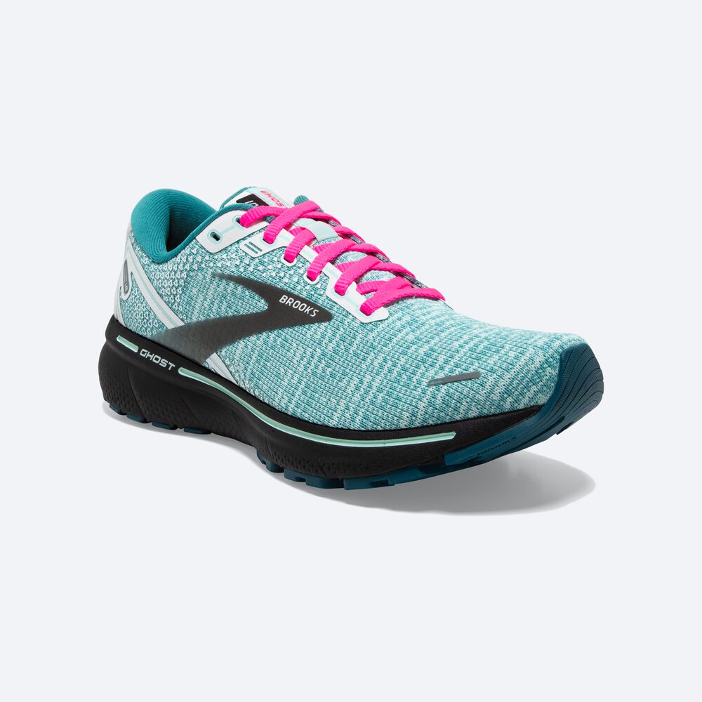 Brooks Ghost 14 Kadın Koşu Ayakkabısı Beyaz/Siyah/Mavi | TR-763208