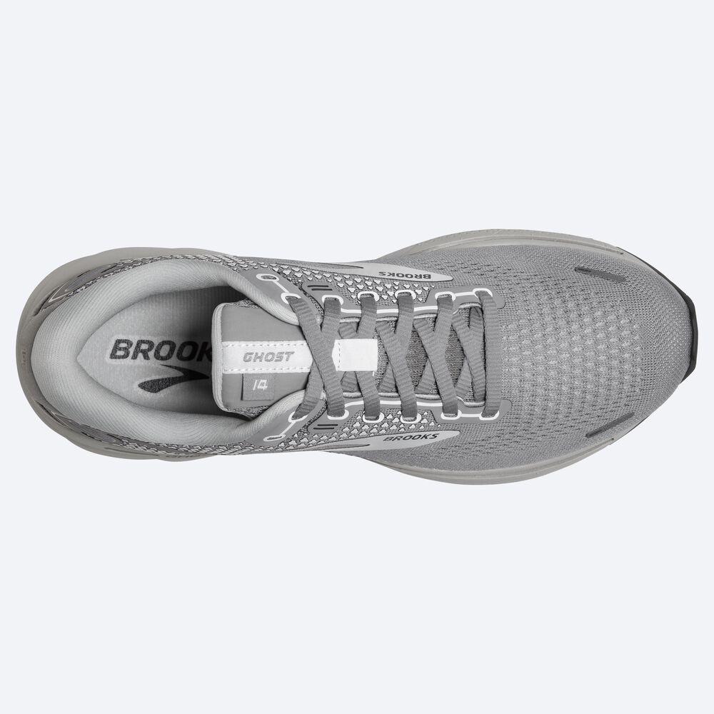 Brooks Ghost 14 Kadın Koşu Ayakkabısı Gri | TR-524189