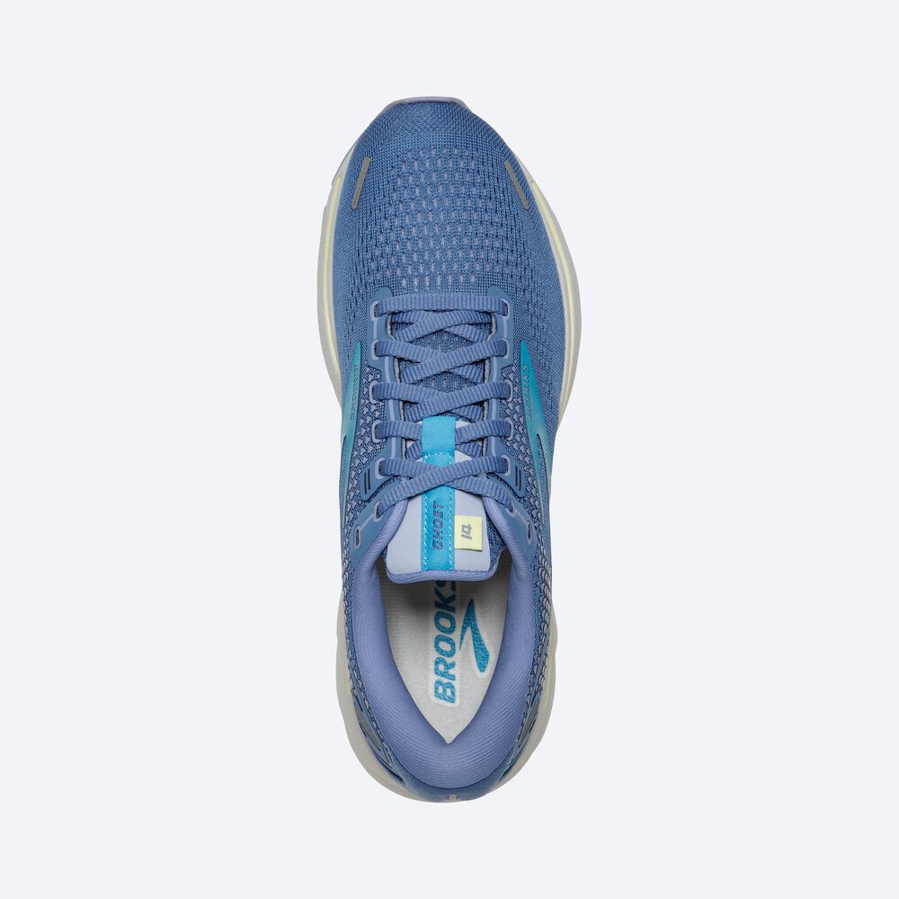 Brooks Ghost 14 Kadın Koşu Ayakkabısı Mavi | TR-107439