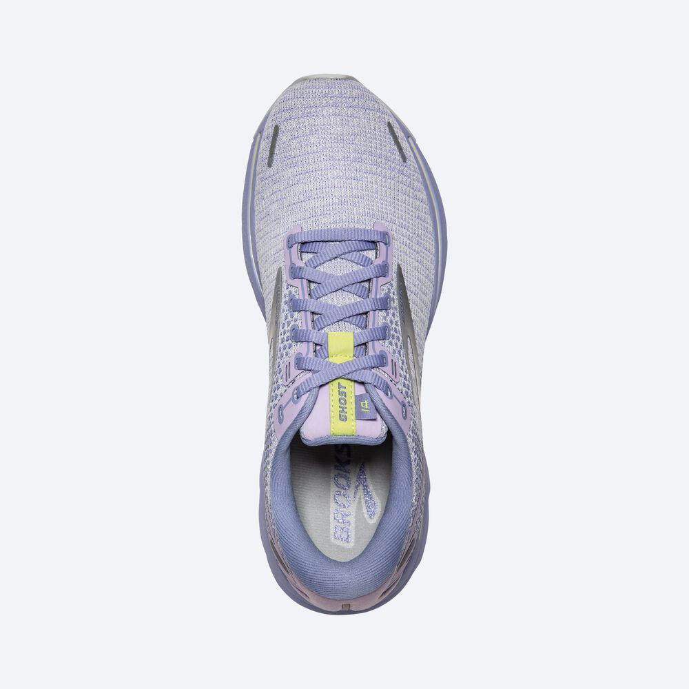 Brooks Ghost 14 Kadın Koşu Ayakkabısı Mor/Açık Yeşil | TR-053281