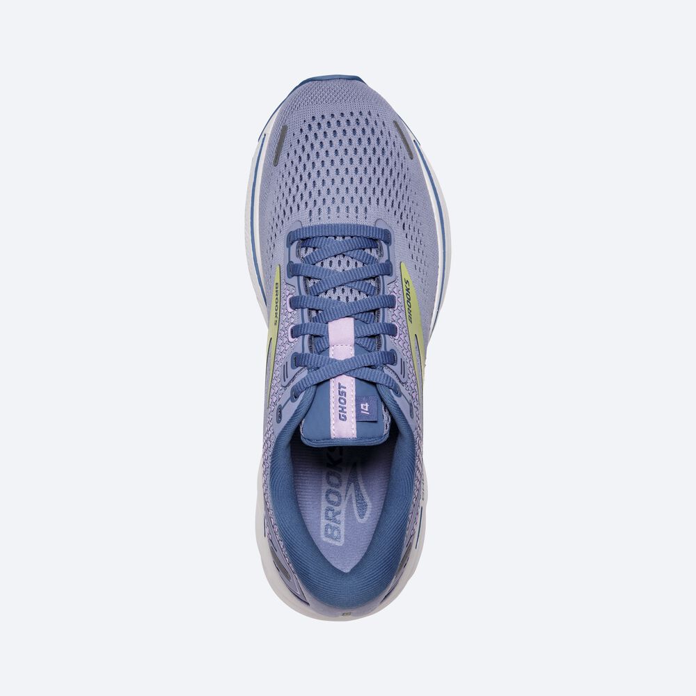 Brooks Ghost 14 Kadın Koşu Ayakkabısı Mor/Açık Yeşil | TR-109576