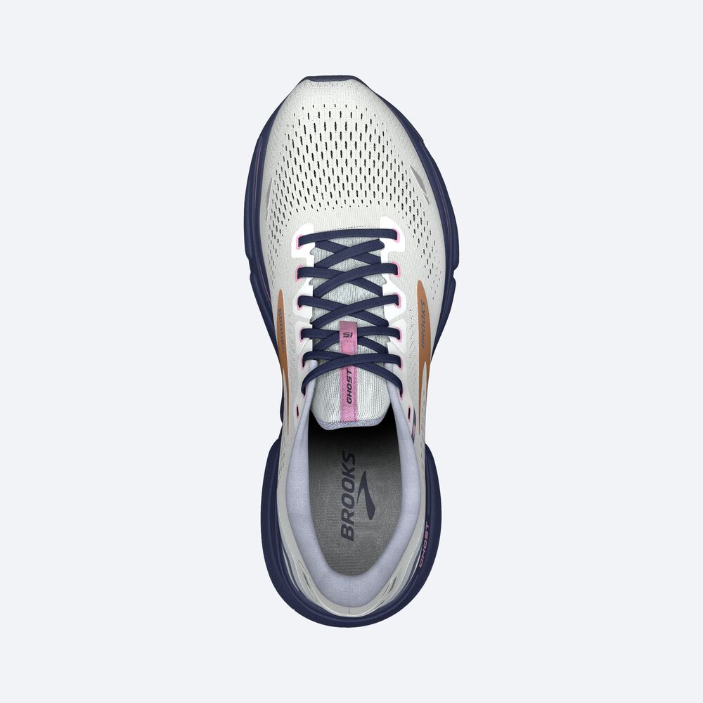 Brooks Ghost 15 Kadın Koşu Ayakkabısı Mavi/Pembe/Bakır | TR-985321