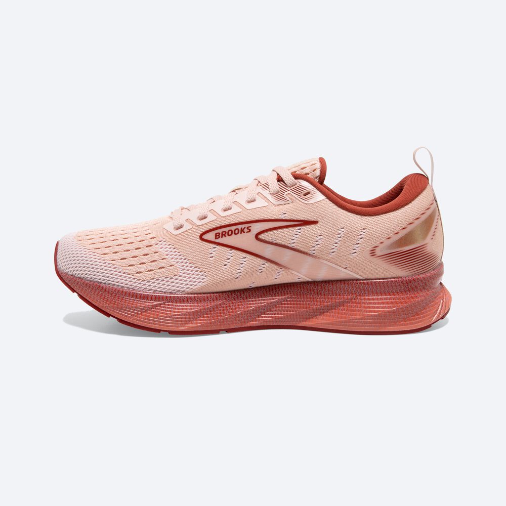 Brooks Levitate 6 Kadın Koşu Ayakkabısı Pembe | TR-395076