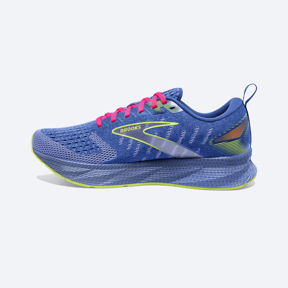 Brooks Levitate 6 Kadın Koşu Ayakkabısı Mor/Pembe | TR-736210