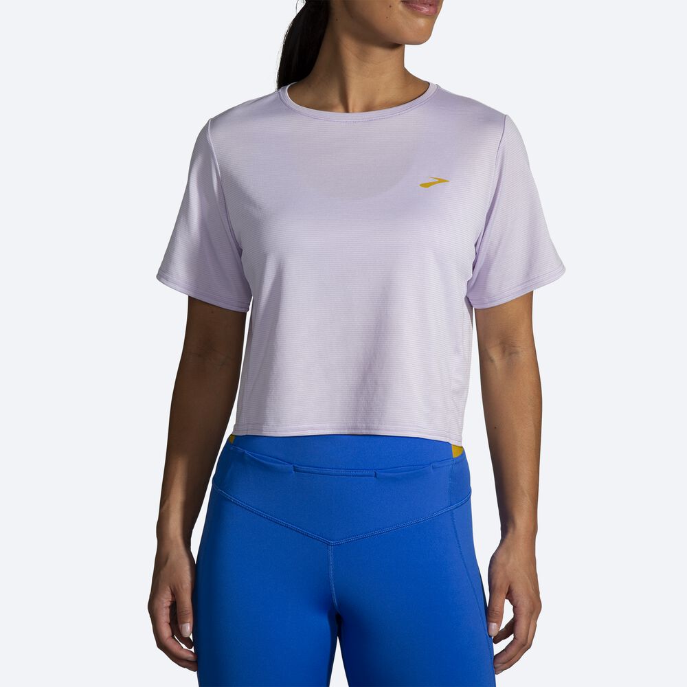 Brooks Run Within Crop Tee Kadın Tişört Mor Gri Çizgili | TR-692374