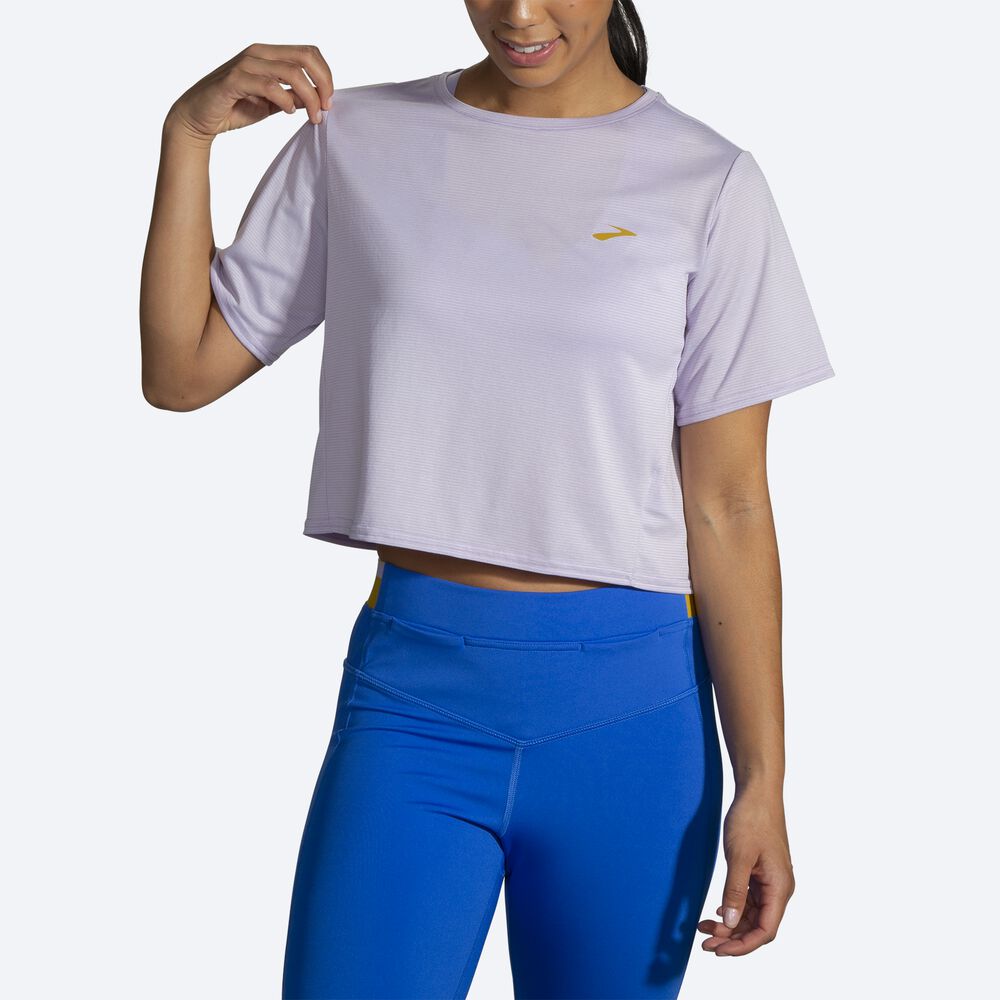 Brooks Run Within Crop Tee Kadın Tişört Mor Gri Çizgili | TR-692374