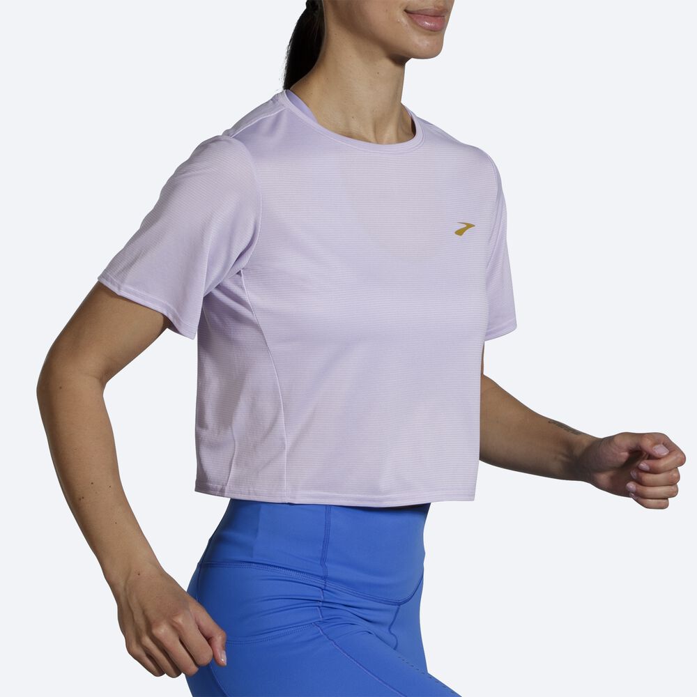 Brooks Run Within Crop Tee Kadın Tişört Mor Gri Çizgili | TR-692374