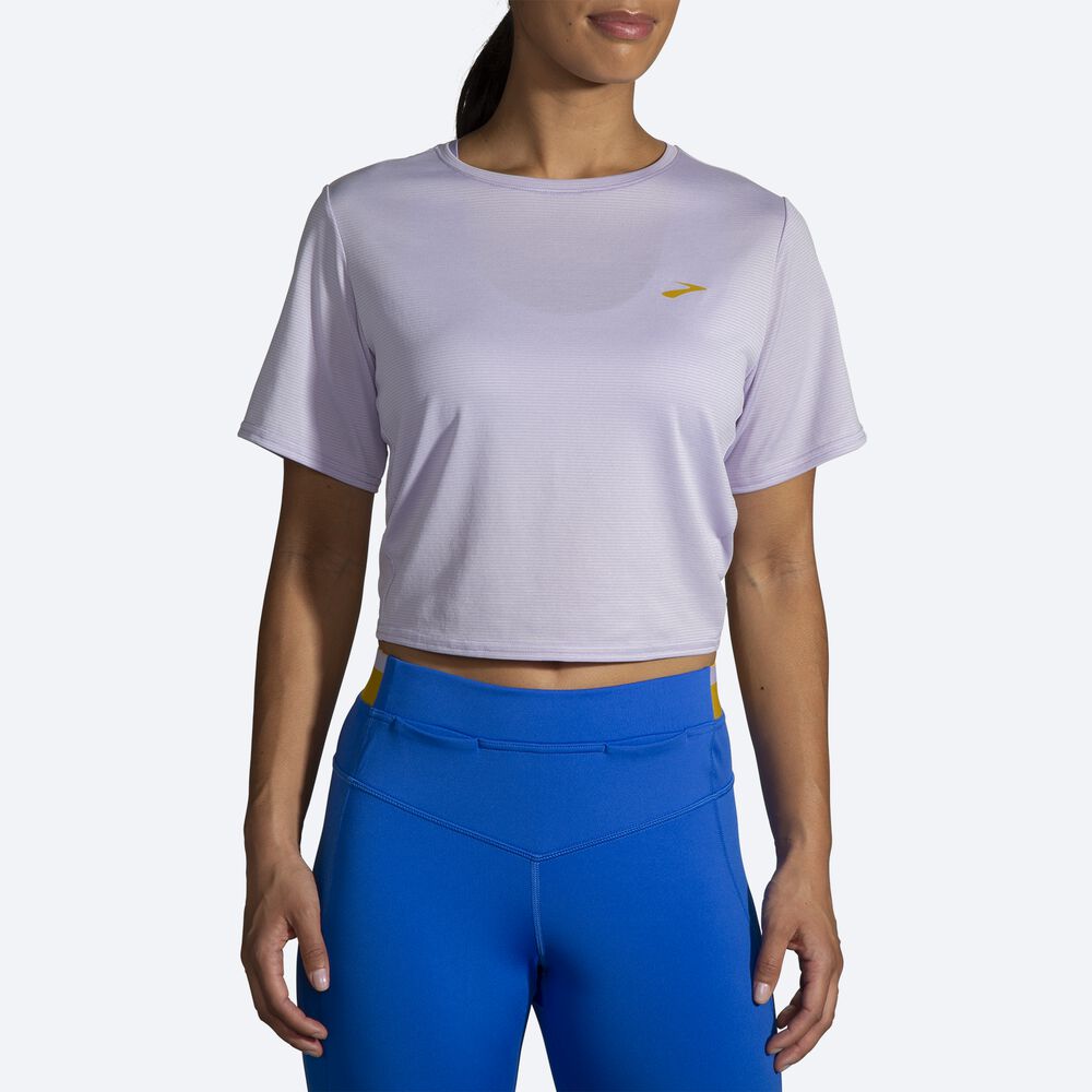 Brooks Run Within Crop Tee Kadın Tişört Mor Gri Çizgili | TR-692374